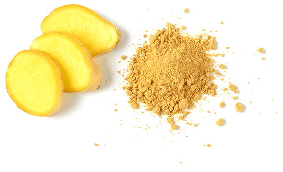 ginger image