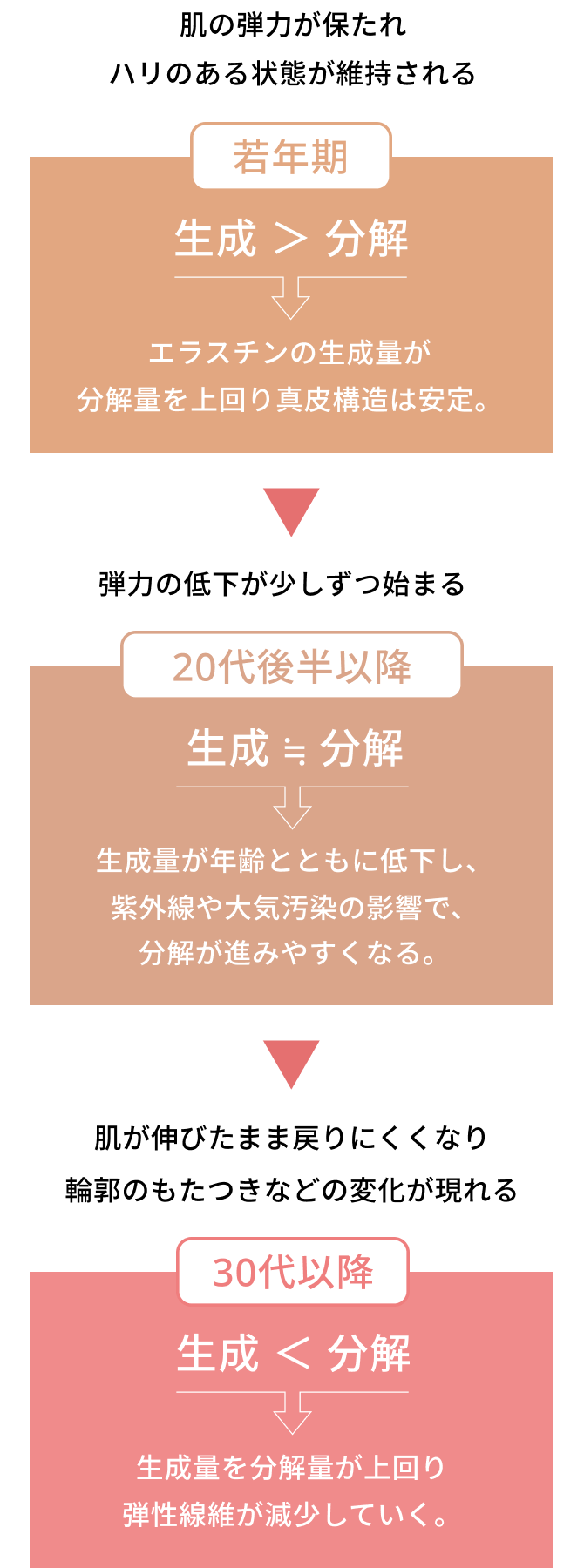 若年期　20代後半以降　30代以降