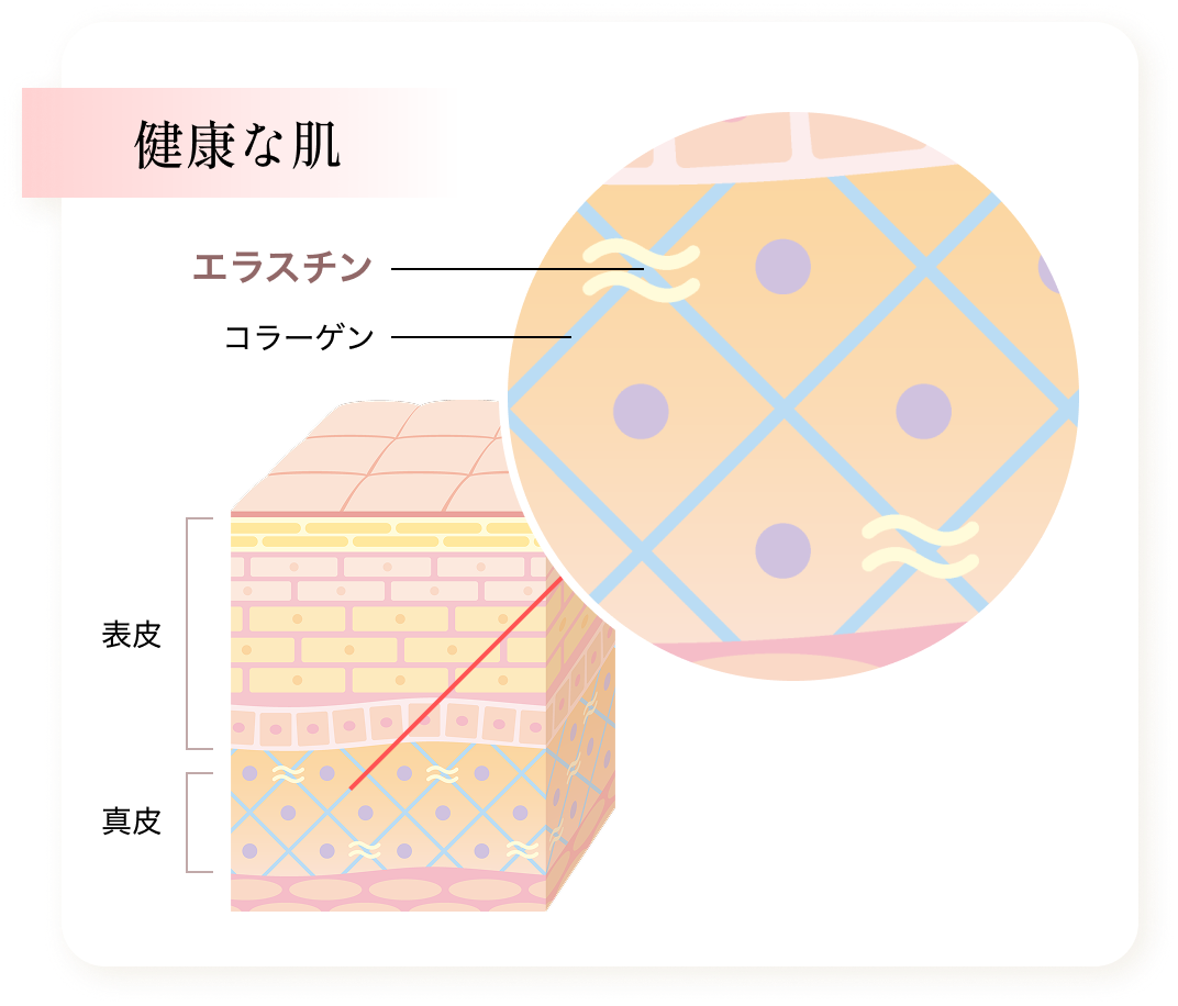 健康な肌
