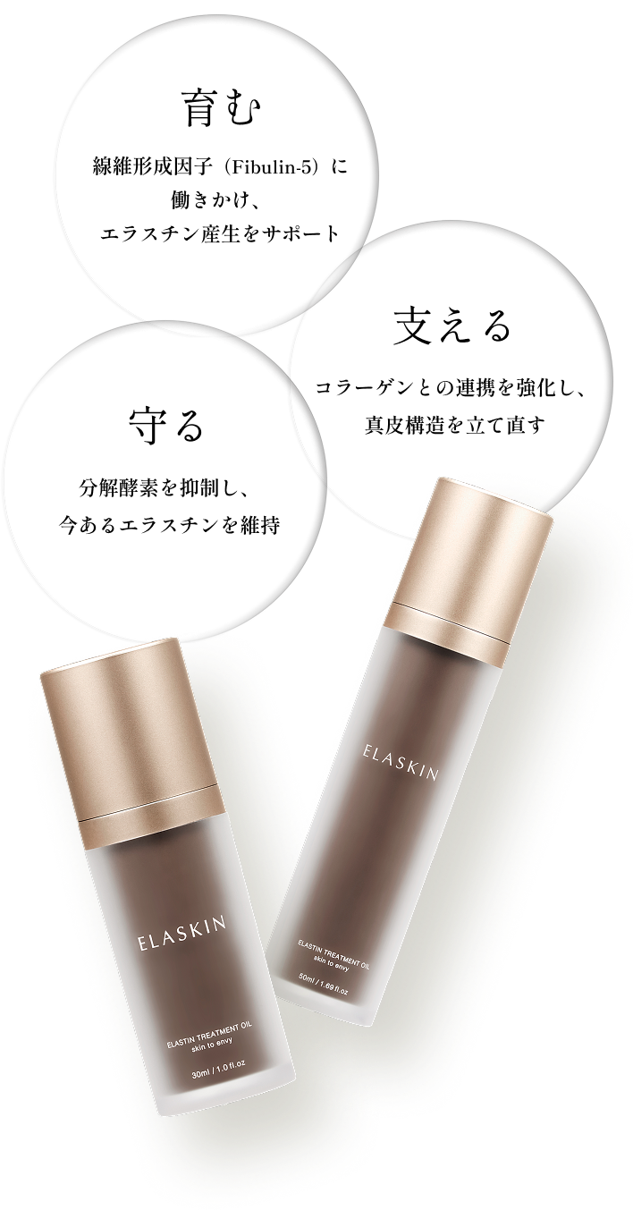 守る 分解酵素を抑制し、今あるエラスチンを維持　育む 線維形成因子（Fibulin-5）に働きかけ、エラスチン産生をサポート　支える コラーゲンとの連携を強化し、真皮構造を立て直す