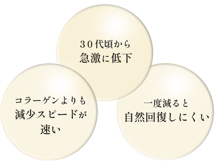 コラーゲンよりも減少スピードが速い　30代頃から急激に低下　一度減ると自然回復しにくい